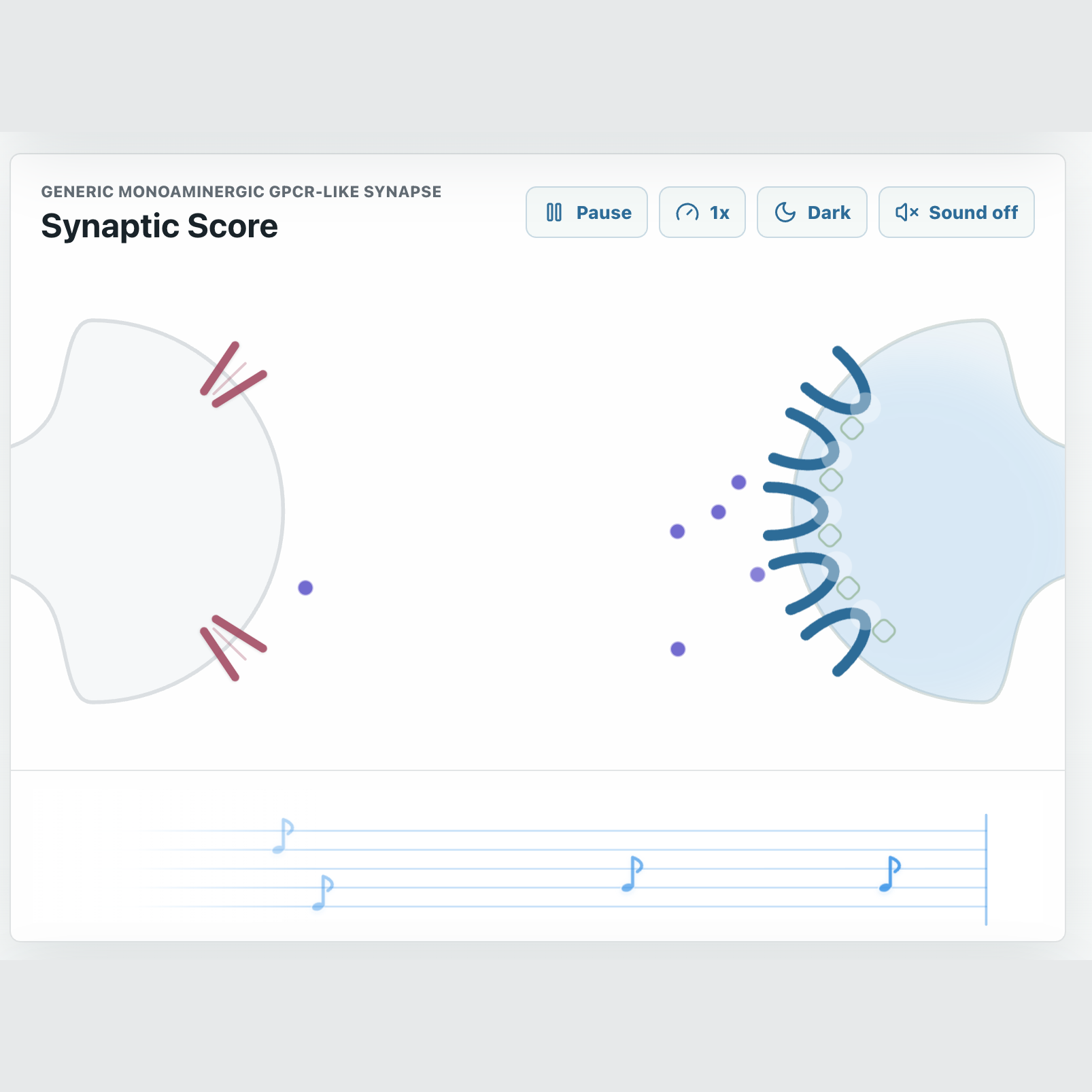 Synaptic Score
