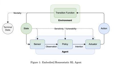 The Contingencies of Physical Embodiment Allow for Open-Endedness and Care