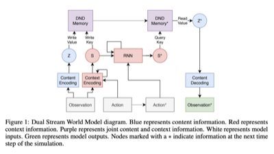 A Biologically-Inspired Dual Stream World Model