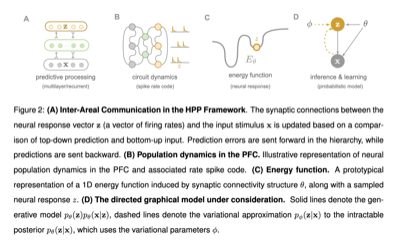 A dual-receptor model of serotonergic psychedelics: therapeutic insights from simulated cortical dynamics