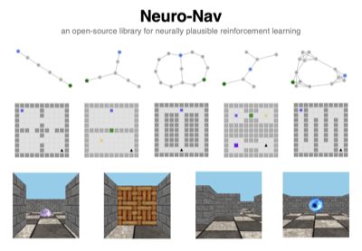Neuro-Nav: A Library for Neurally-Plausible Reinforcement Learning